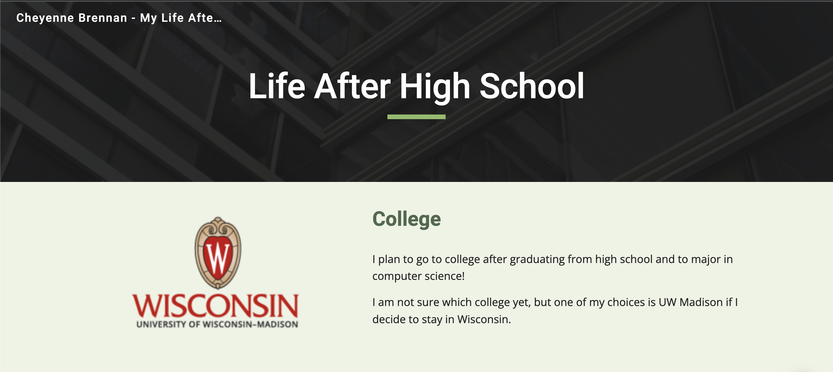 Life After High School site screenshot