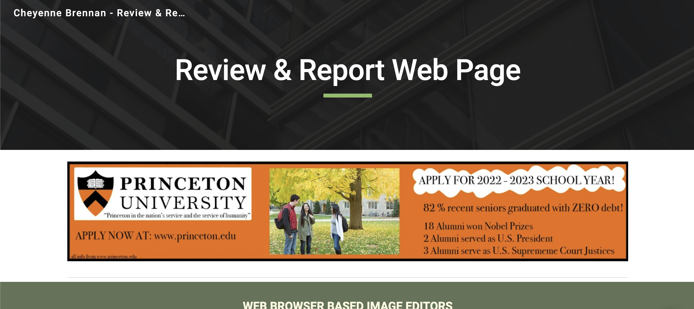 Review and Reports Site screenshot