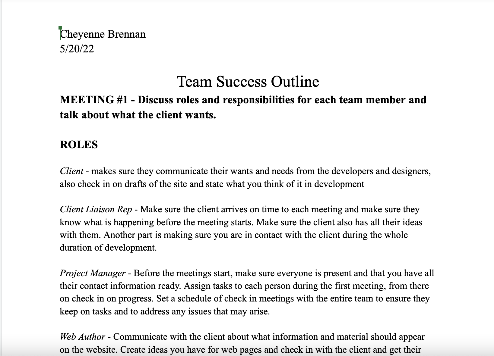 Team Success Outline google doc screenshot